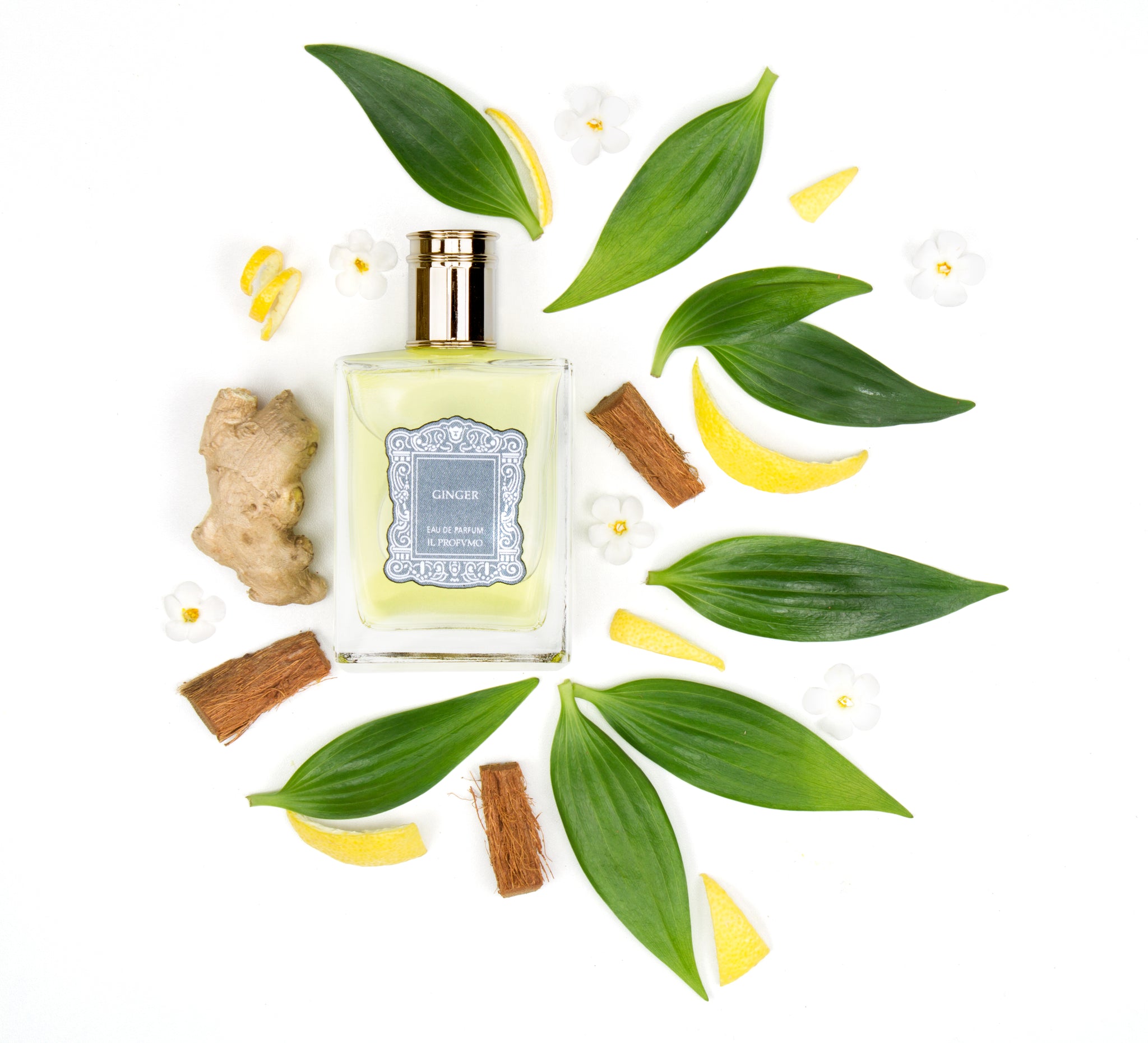 Il Profumo - Ginger - Eau de Parfum 100 ml – Celeste Parfums
