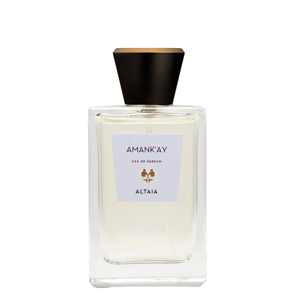 AMANK'AY EDP