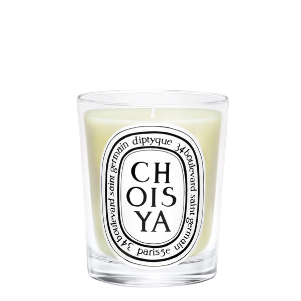 Choisya Candle
