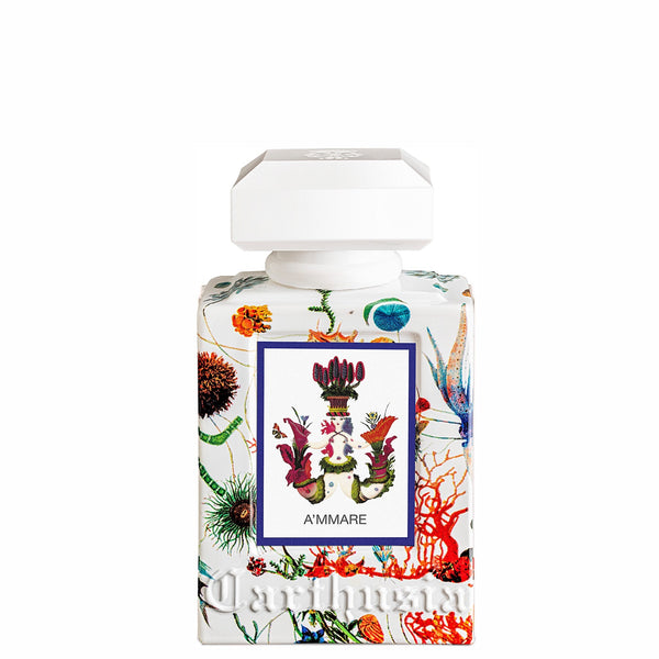 A'mmare EDP