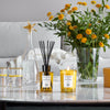 Insieme Candle