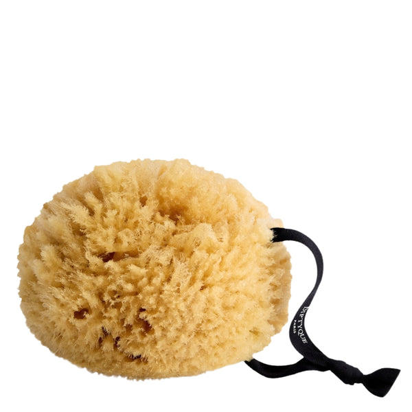 Natural Soft Sponge