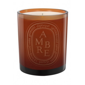 Diptyque Ambre Cognac Candle