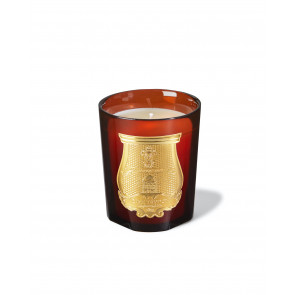 Trudon Classic Candle Cire (Beeswax absolute)