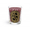 Diptyque Holiday Etincelles Candle ( Spark ) 190 gr